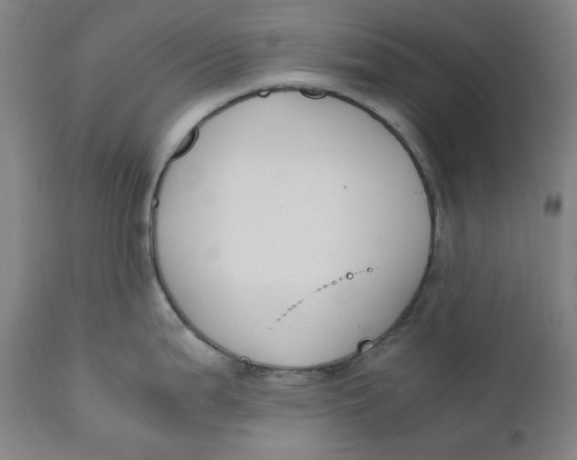 X0000110691199200907021926