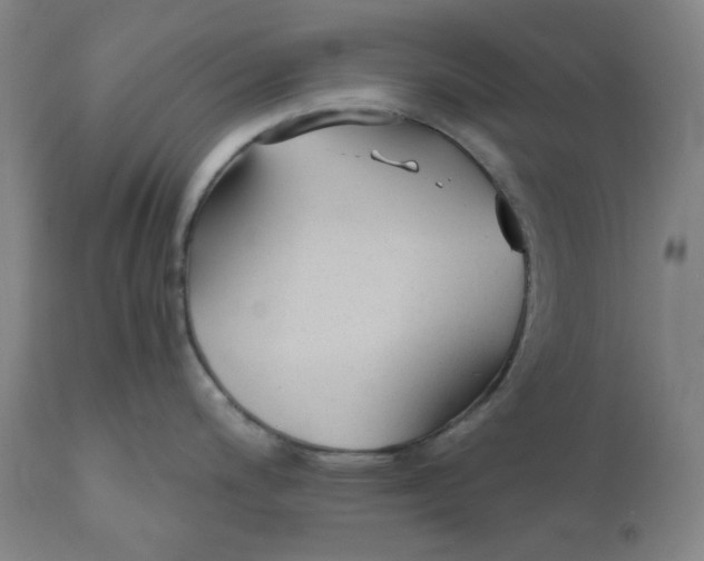 X0000110691200200907021926