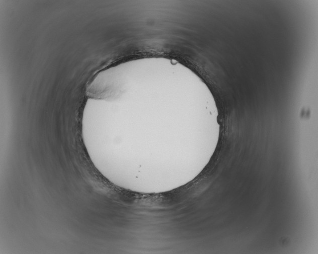 X0000110691201200907021925