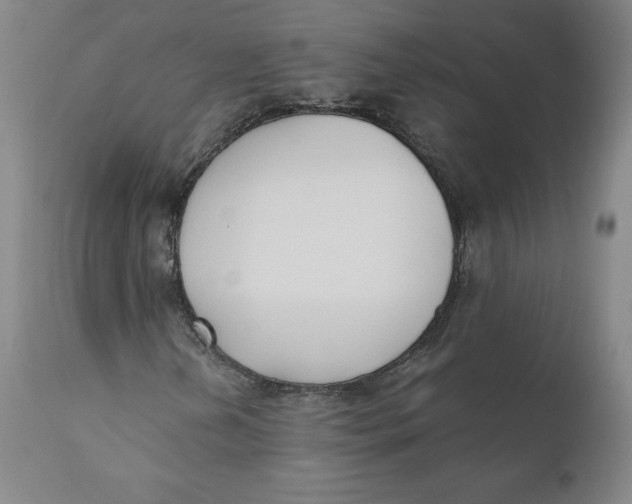 X0000110691202200907021925