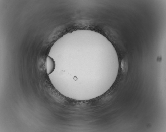 X0000110691203200907021925