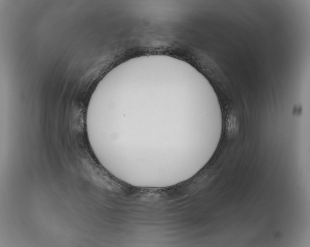 X0000110691204200907021925