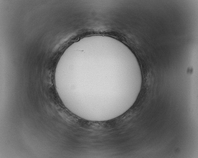 X0000110691205200907021925