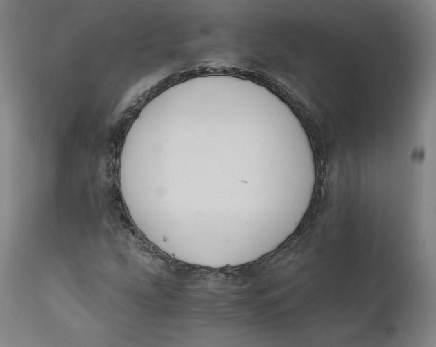 X0000110691207200907021925