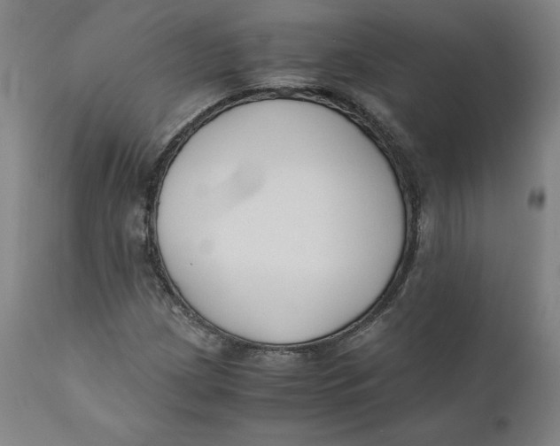 X0000110691209200907021925