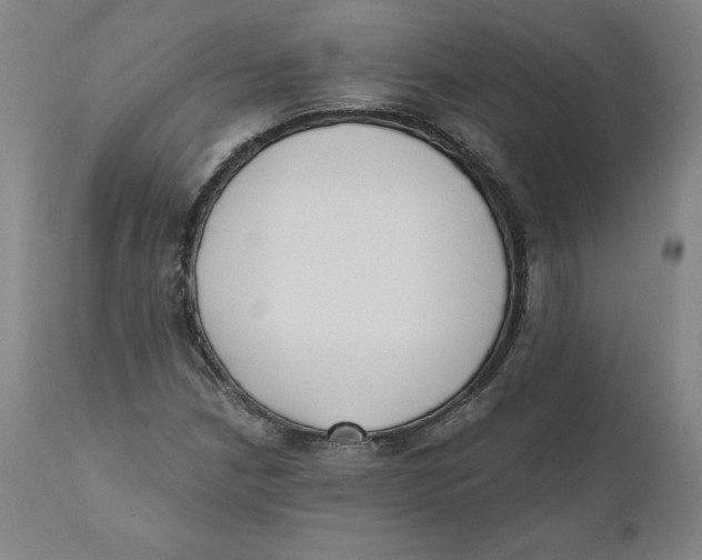 X0000110691210200907021925