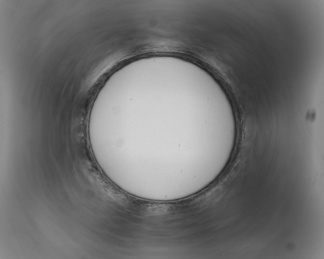 X0000110691211200907021925