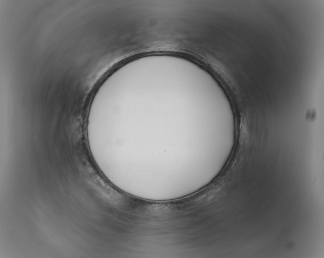 X0000110691212200907021925