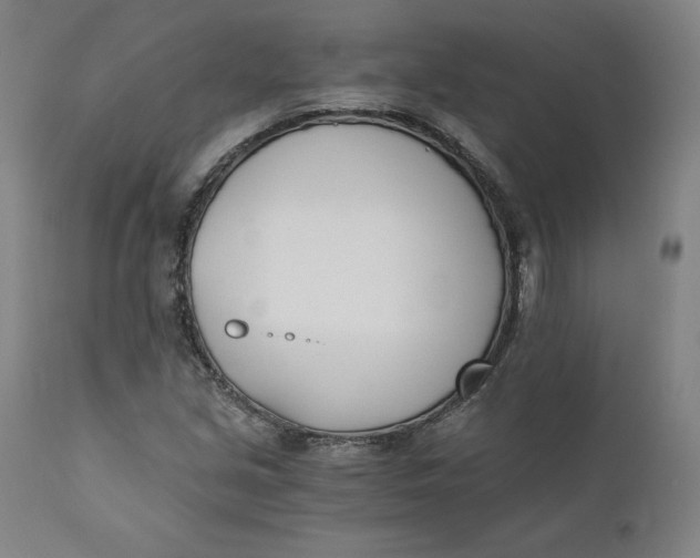 X0000110691213200907021926