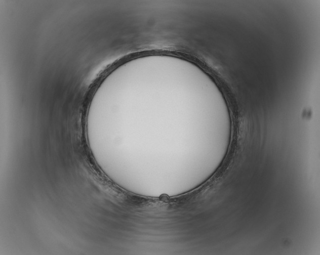 X0000110691214200907021926