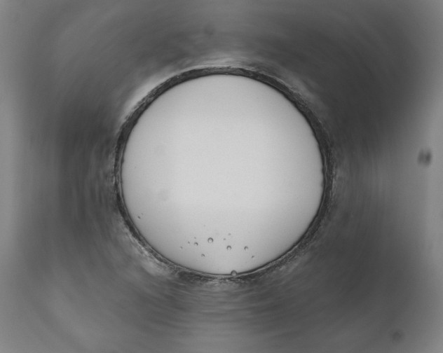 X0000110691216200907021926