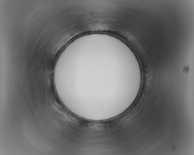 X0000110691217200907021926