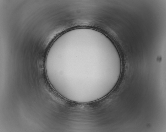 X0000110691218200907021926