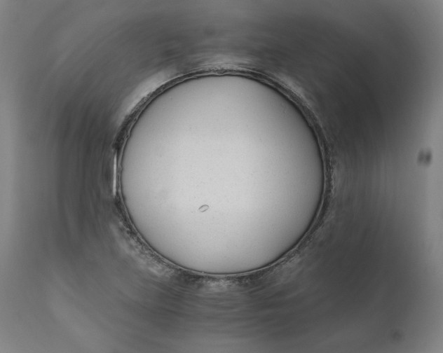 X0000110691219200907021926