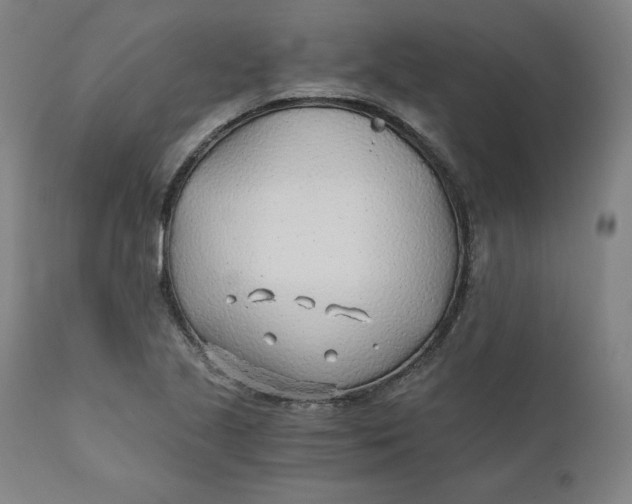 X0000110691221200907021926