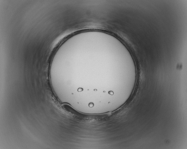 X0000110691222200907021926