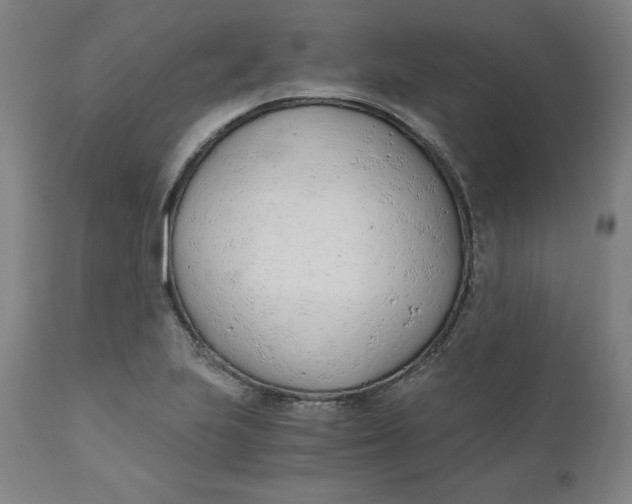 X0000110691223200907021926