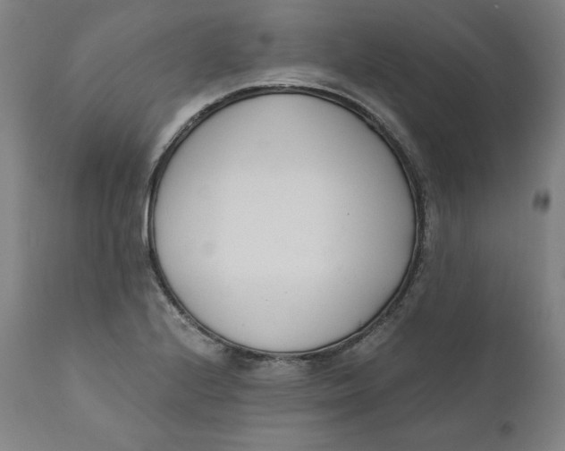 X0000110691224200907021926