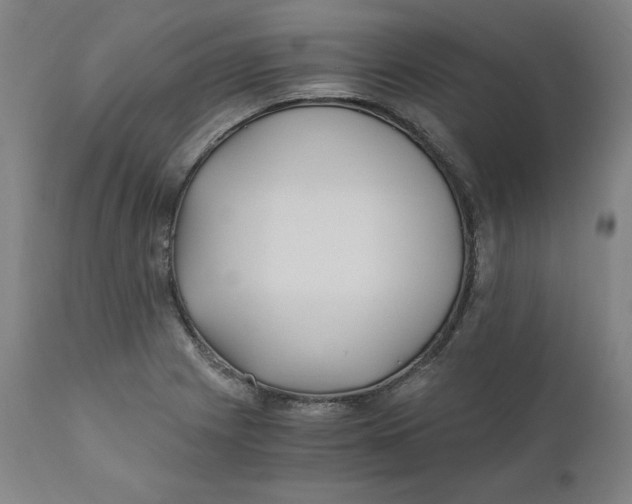 X0000110691225200907021926