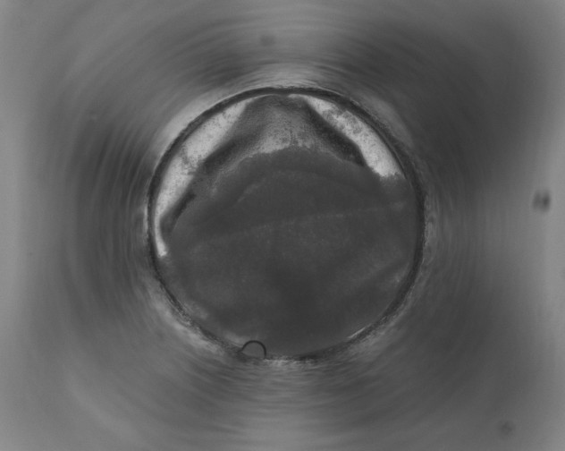 X0000110691226200907021926