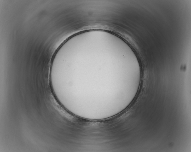 X0000110691228200907021926