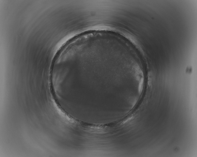 X0000110691229200907021926