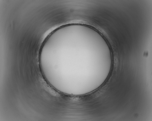 X0000110691230200907021926