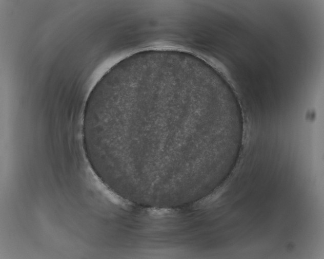 X0000110691231200907021926