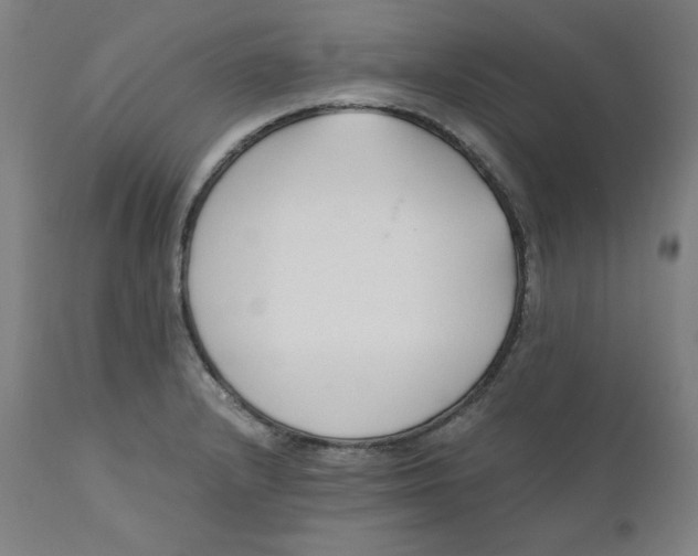 X0000110691232200907021926