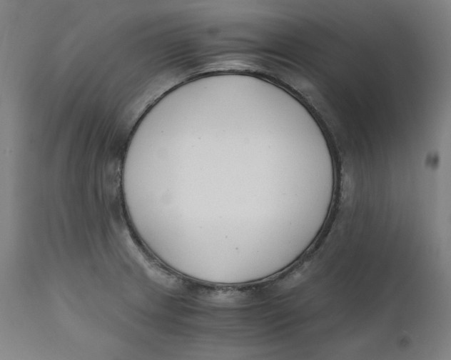 X0000110691233200907021926