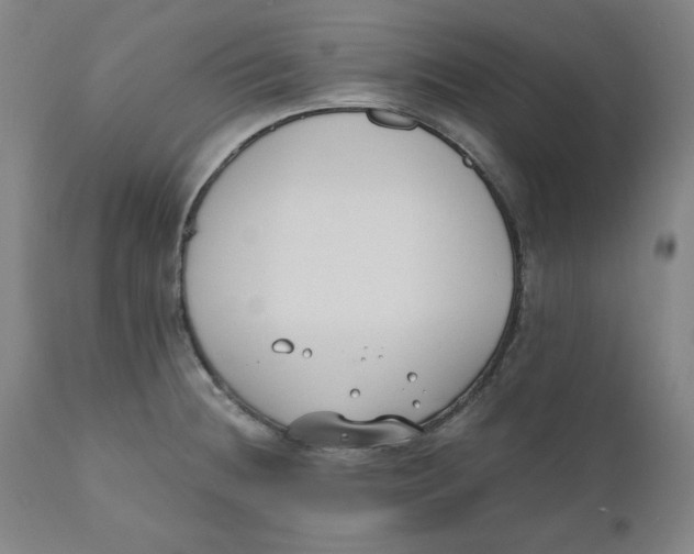 X0000110691236200907021926