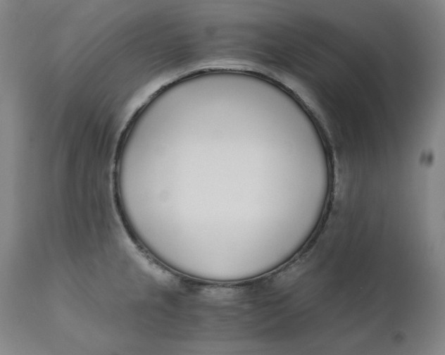 X0000110691237200907021926