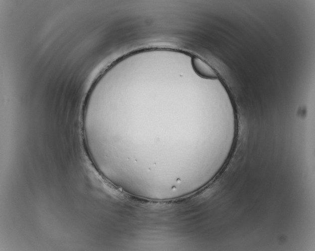 X0000110691240200907021926