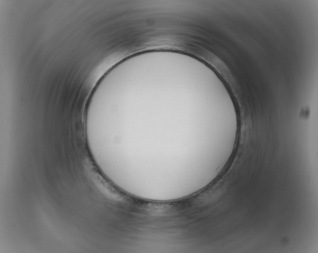 X0000110691242200907021926