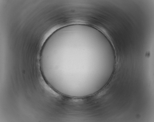 X0000110691243200907021926