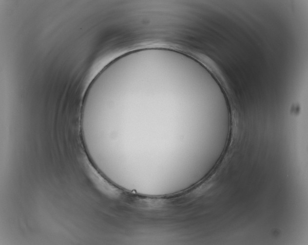 X0000110691244200907021926