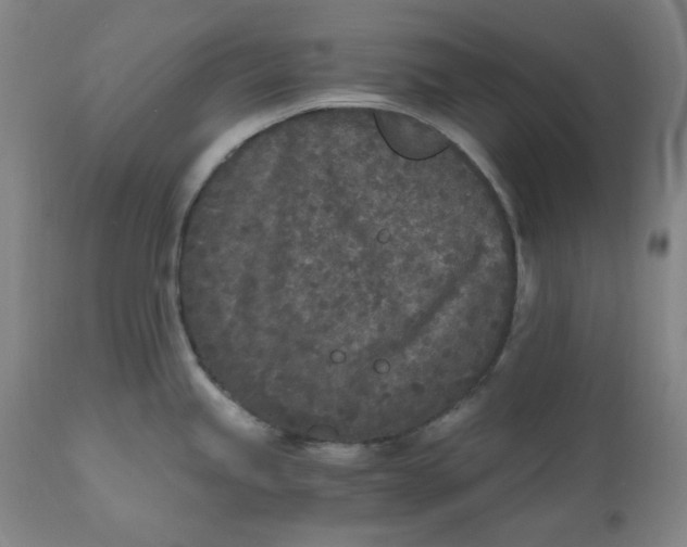 X0000110691245200907021926