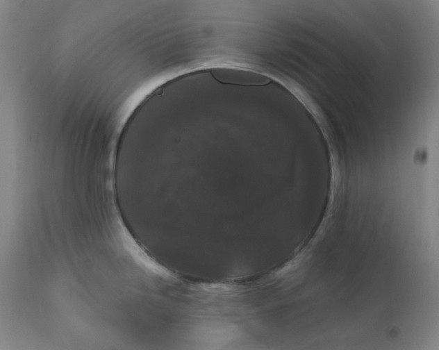 X0000110691246200907021926