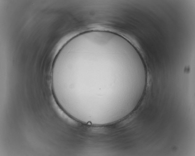 X0000110691247200907021926