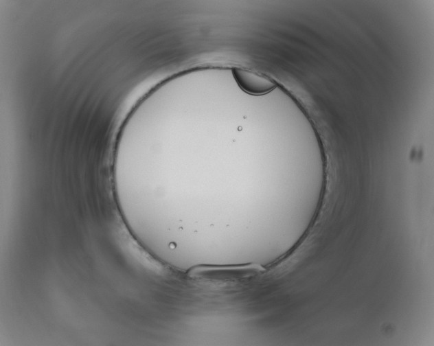 X0000110691248200907021926