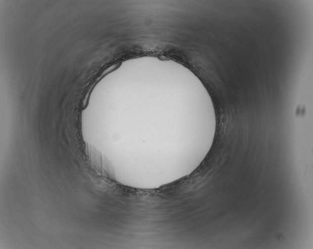 X0000110691249200907021925