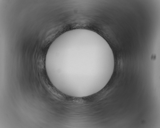 X0000110691250200907021925