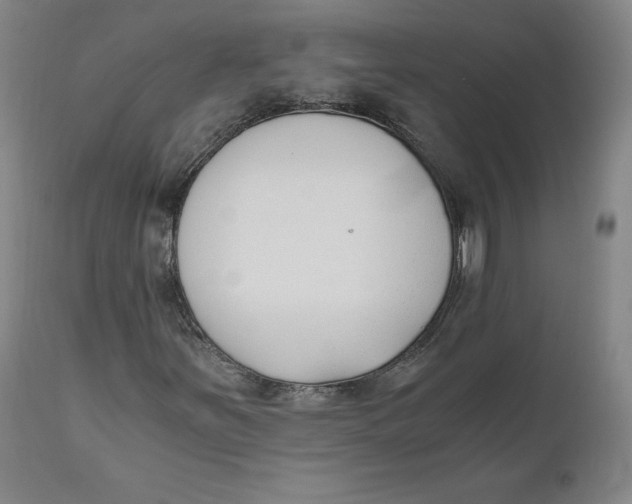 X0000110691251200907021925