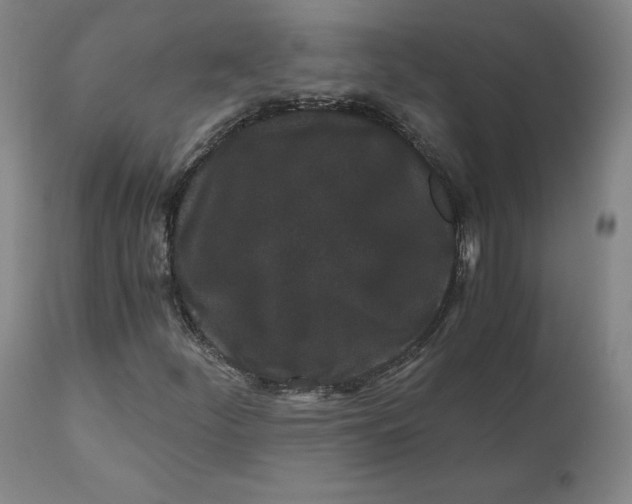 X0000110691252200907021925