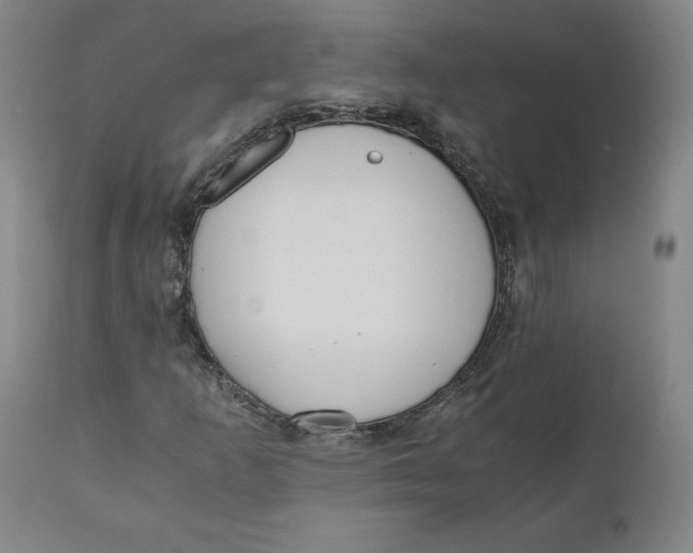 X0000110691253200907021925