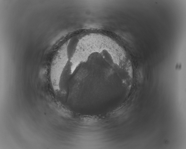 X0000110691254200907021925