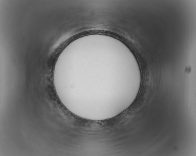 X0000110691255200907021925