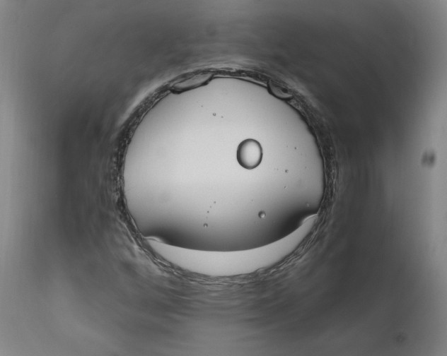 X0000110691256200907021925