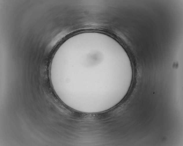 X0000110691259200907021925