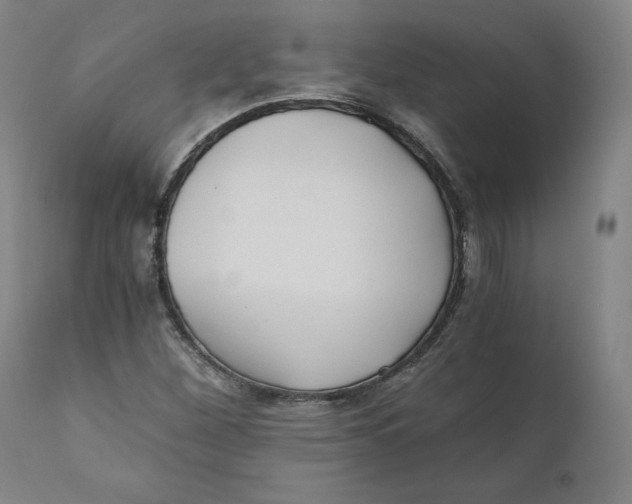 X0000110691260200907021925